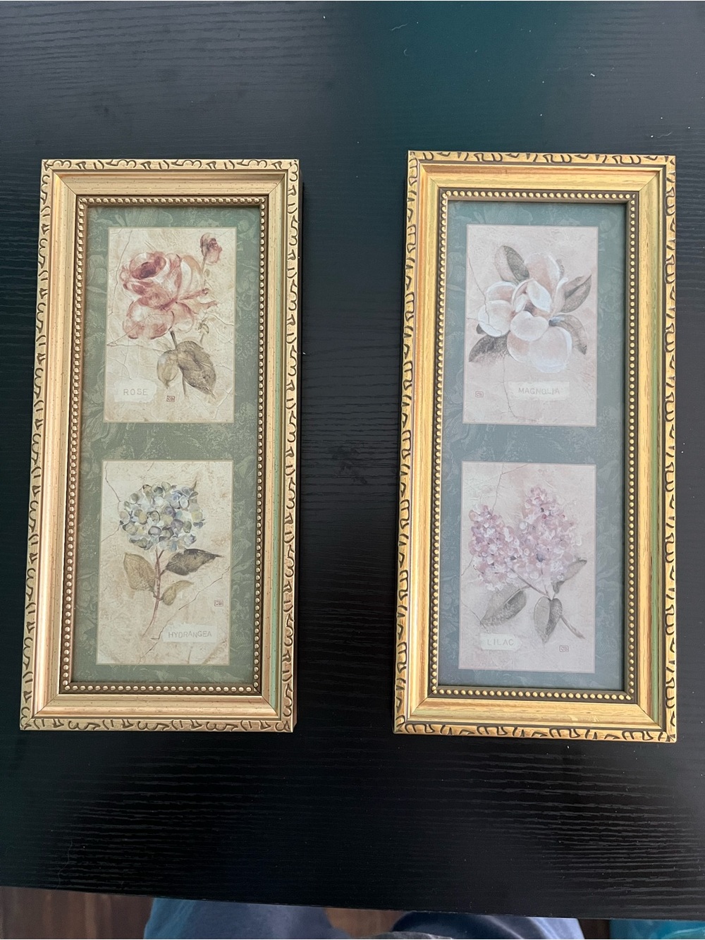 Beautiful 2x Cheri Blum Flower Art Frames 1x5x11
